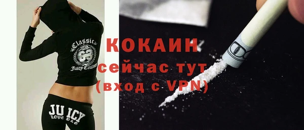 амф Гусев