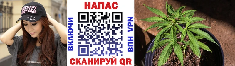Конопля VHQ  продажа наркотиков  Жигулёвск 